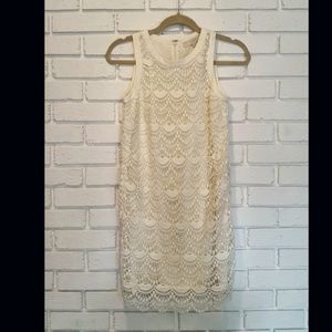 BRIDES!!!! LOFT ivory scalloped lace dress